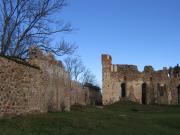 Развалины Добельского замка
