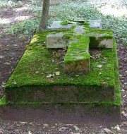 Старое Арайшское кладбище
