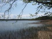 Skats uz ezeru no Tallinas šosejas