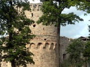 Развалины Цесиского замка