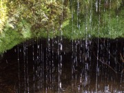 Ūdens pilieni Staburagā