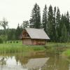 Lielā pirts